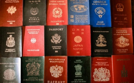 Иностранное гражданство, ассимиляция и туризм