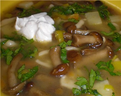 Рецепт - суп - лапша грибная