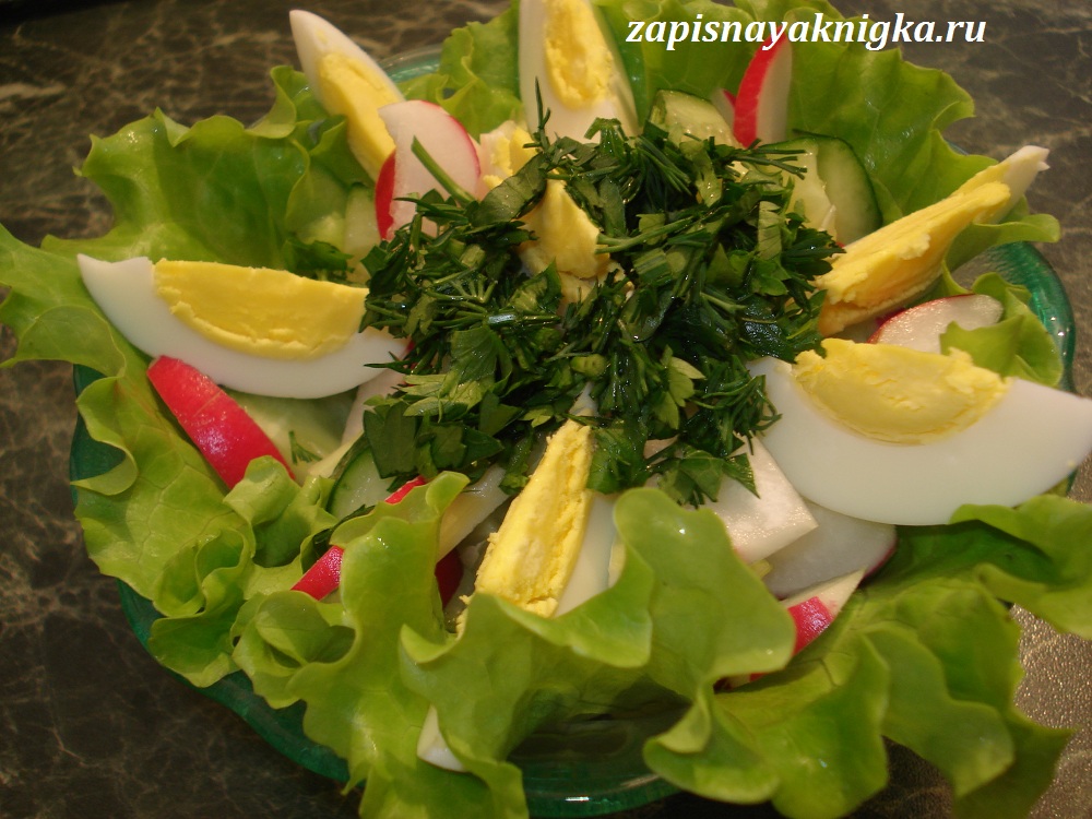 Рецепт - салат листовой с редисом