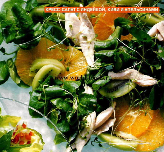 Кресс-салат с индейкой, киви и апельсином