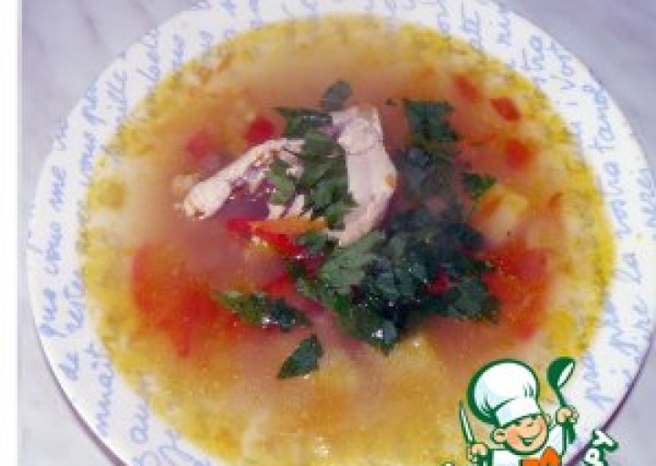Молдавский суп  Зама